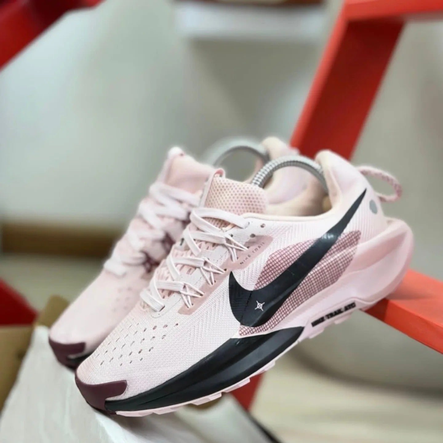 Tenis Nike Trail Pegasus